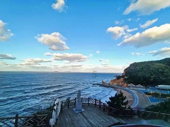 探索吉鹿力——上海社保停交了不转回老家在老家可以报别的险吗?的问答社区